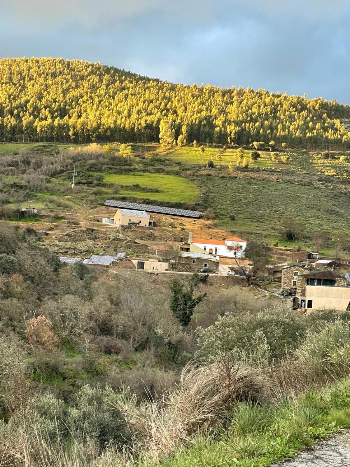 Colmeal Countryside Hotel Figueira de Castelo Rodrigo Bagian luar foto
