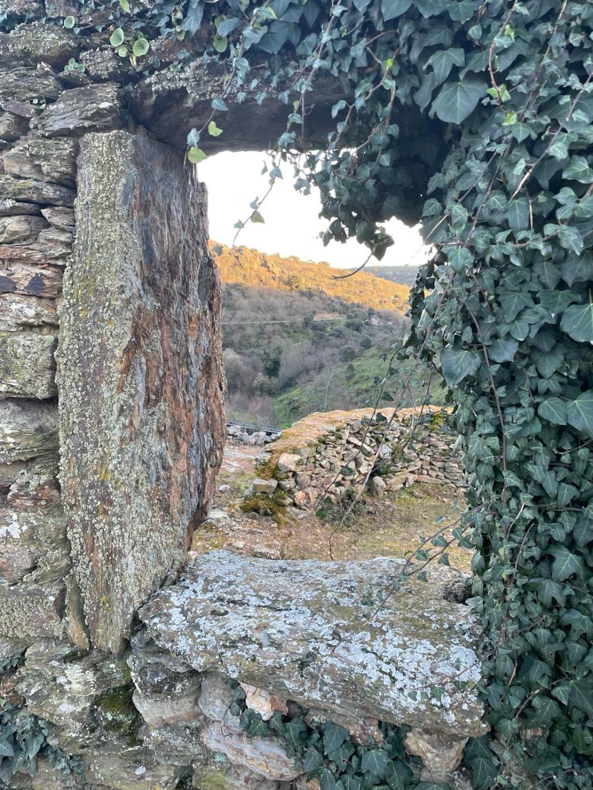 Colmeal Countryside Hotel Figueira de Castelo Rodrigo Bagian luar foto